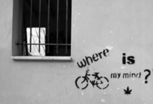 where is my mind